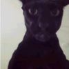 ahmed.chrif33