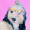 fluff_force