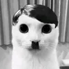 omarvoskres