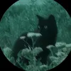 fmsnu2
