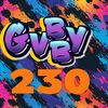 gvbby230
