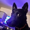 juliancuff6
