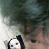 lover_land_kitty