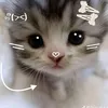 baby.love.angel1