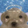 karma_2uheh