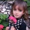 saoud.wazir.55