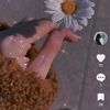 da..ly7