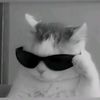 user1247013300140