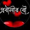 user94760214008133