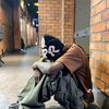 shyboy4513