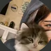 wr___yrt