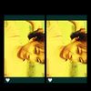 kepo1234571
