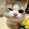 fatirganteng090