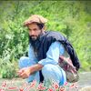 abdullahbangash683