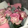 norasayed275