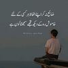 mrzain1313