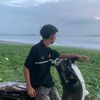 bullxvvx