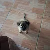 ngazz670912