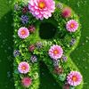 md.rifat81304