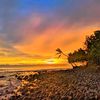 anang_jr06