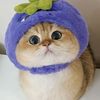 cutecat_gossip