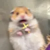 yoruyt3