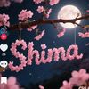 shimaa.ahmed1088