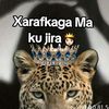 user9966948912752