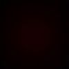 dn_berl