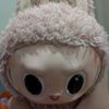 nicqueis_under