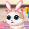 sillysilly.bunnie