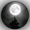 user1782660054134