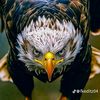 omidrahimy94