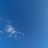 iba_sofia_