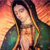 rosaria.parrinell3