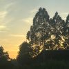 xiiyumekoooo_08