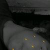 dhanushd468