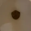 noq_ss