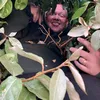 kevin.od8