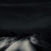 aseelalqrny5