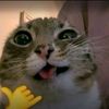 user226414099