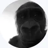 user3064126720