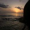 sohy.souhaila