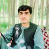 mohammadi.ashna2