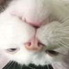 una_cuenta_random017