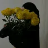 ufswdgg