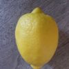 ernestoos1