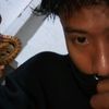 andre.yusup8