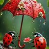 amira.soso563