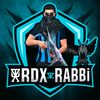 rabbigamer2.02